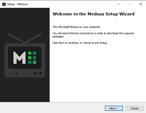 Install Windows Medusa exe file launch